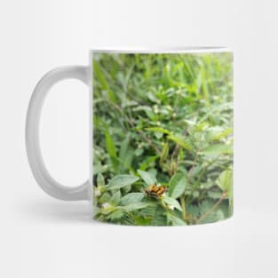 Brown Butterfly And Flowers Mug